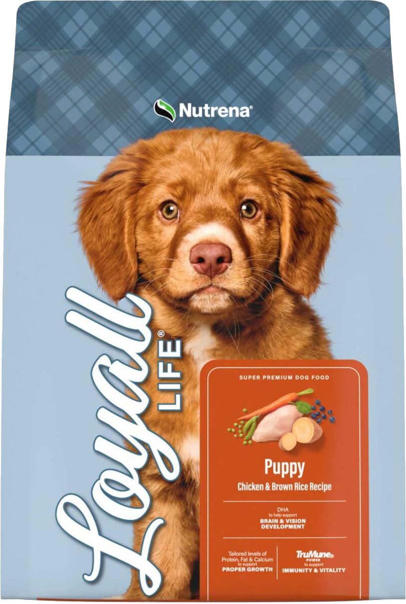 Chicken & Brown Rice Puppy Food 6 Pounds Z515596