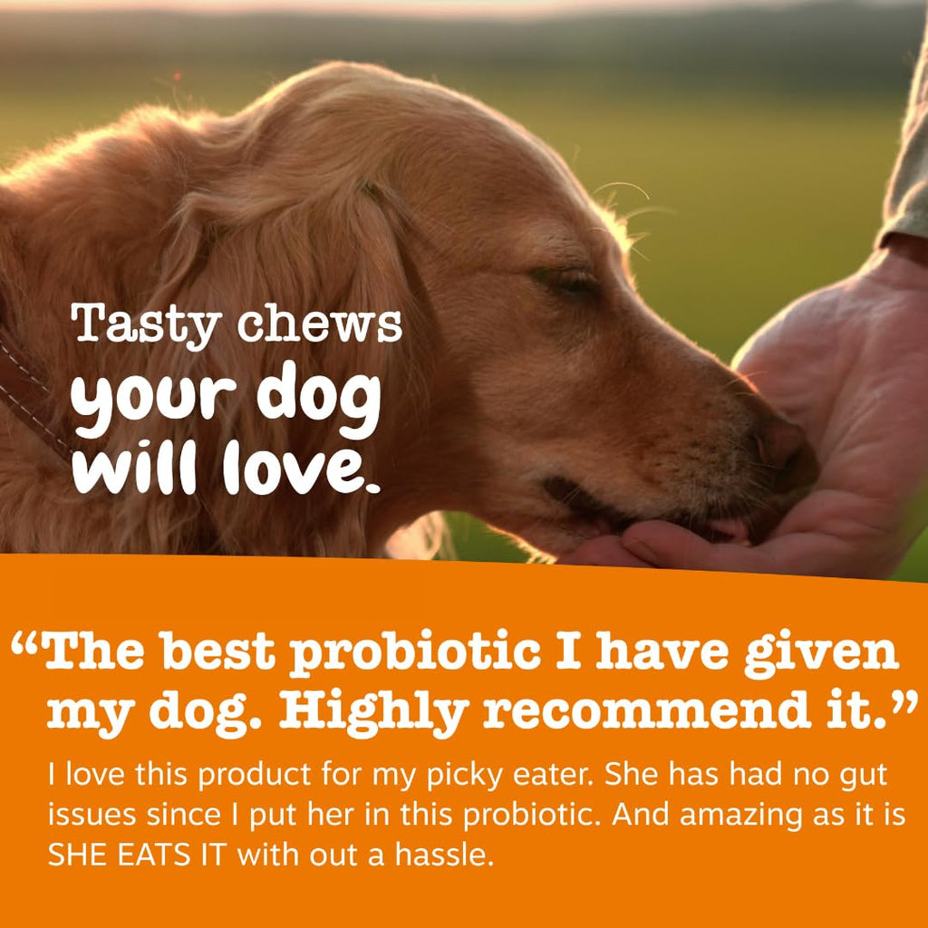 Probiotics for Dogs Chicken 90ct V601