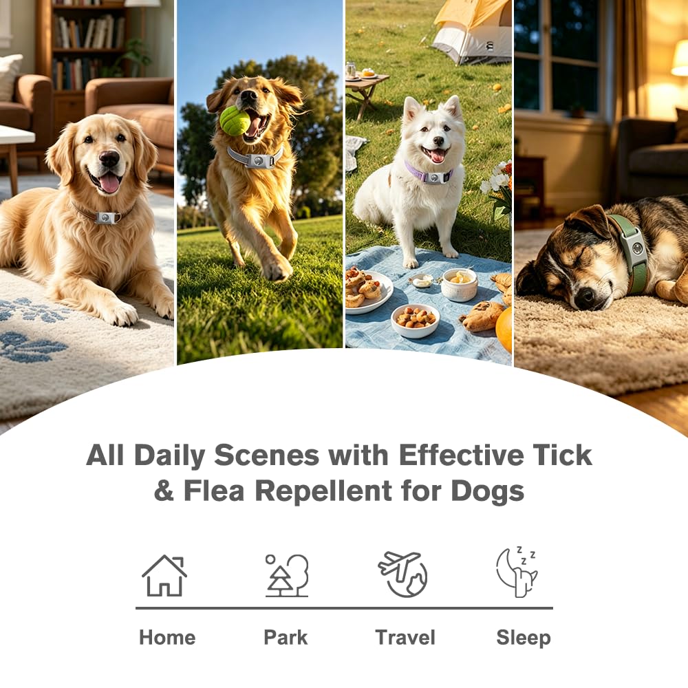 Flea and Tick Pendant for Dogs with 2 Silicone Buckles 4 Refills L55045