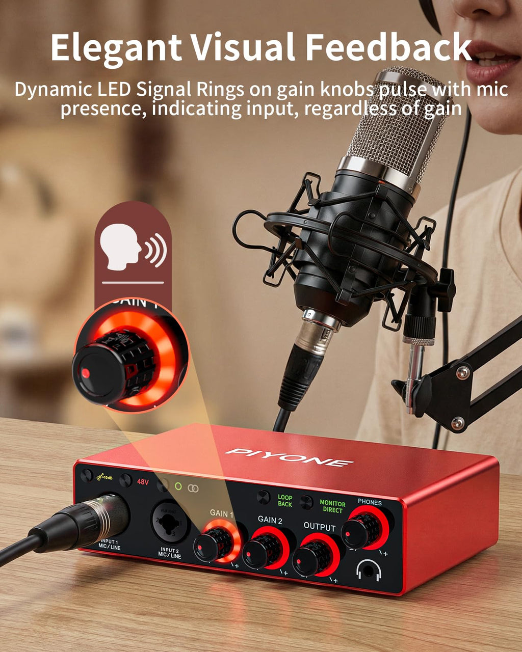 2X2 24-bit/192kHz Audio Interface with XLR/TRS Combo Input J68641