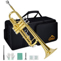 Bb Trumpet Set with Carrying Case, Gloves, 7C Mouthpiece and Cleaning Kit F533
