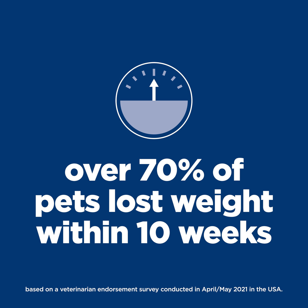 Dry Dog Food J113