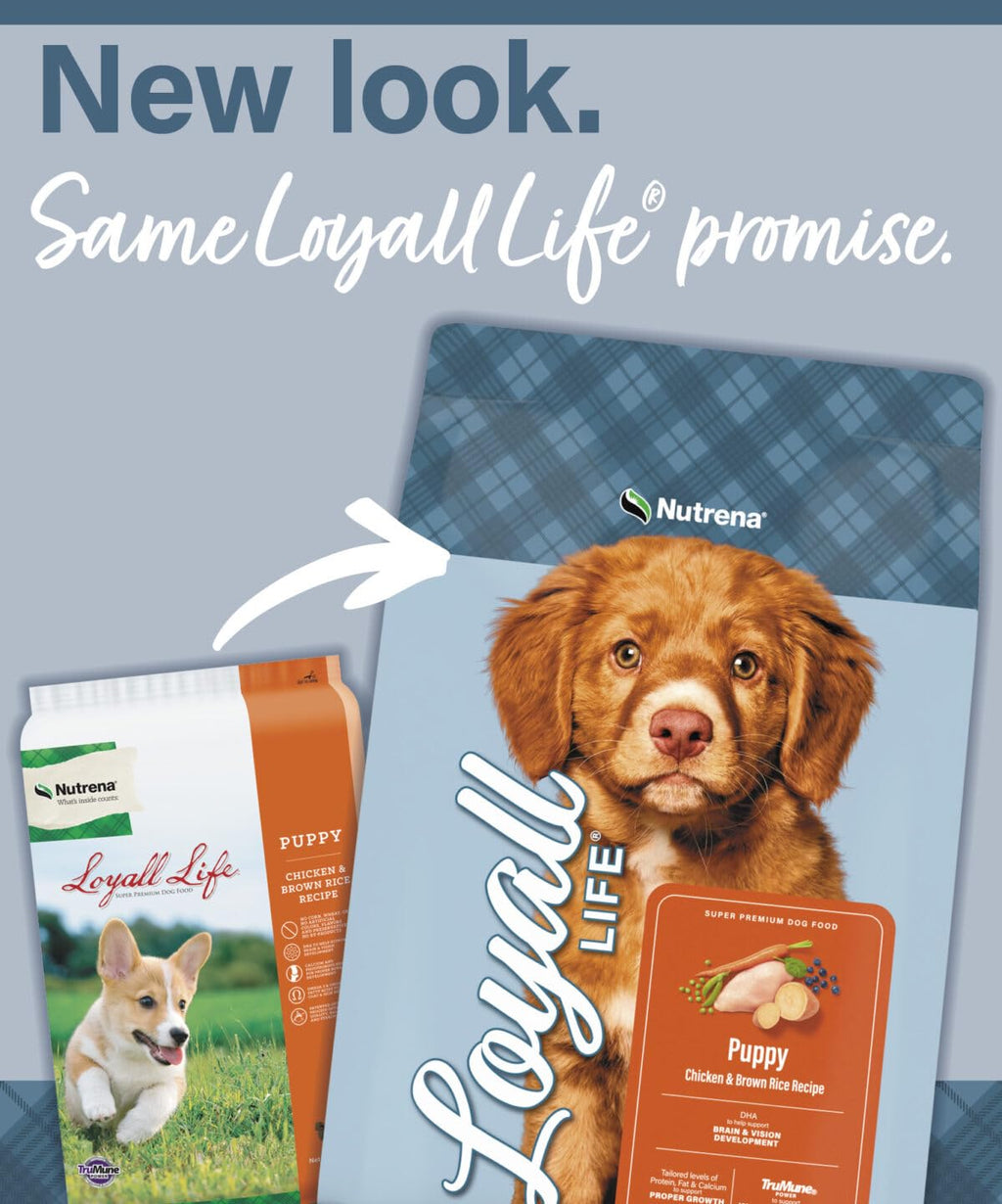 Chicken & Brown Rice Puppy Food 6 Pounds Z515596