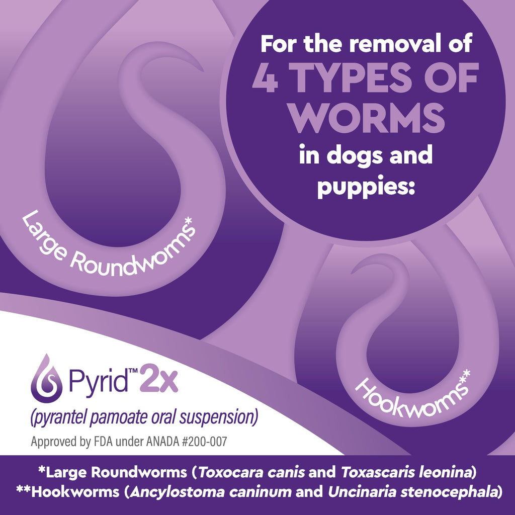 Pyrantel Pamoate Dog Dewormer 16 oz C83810