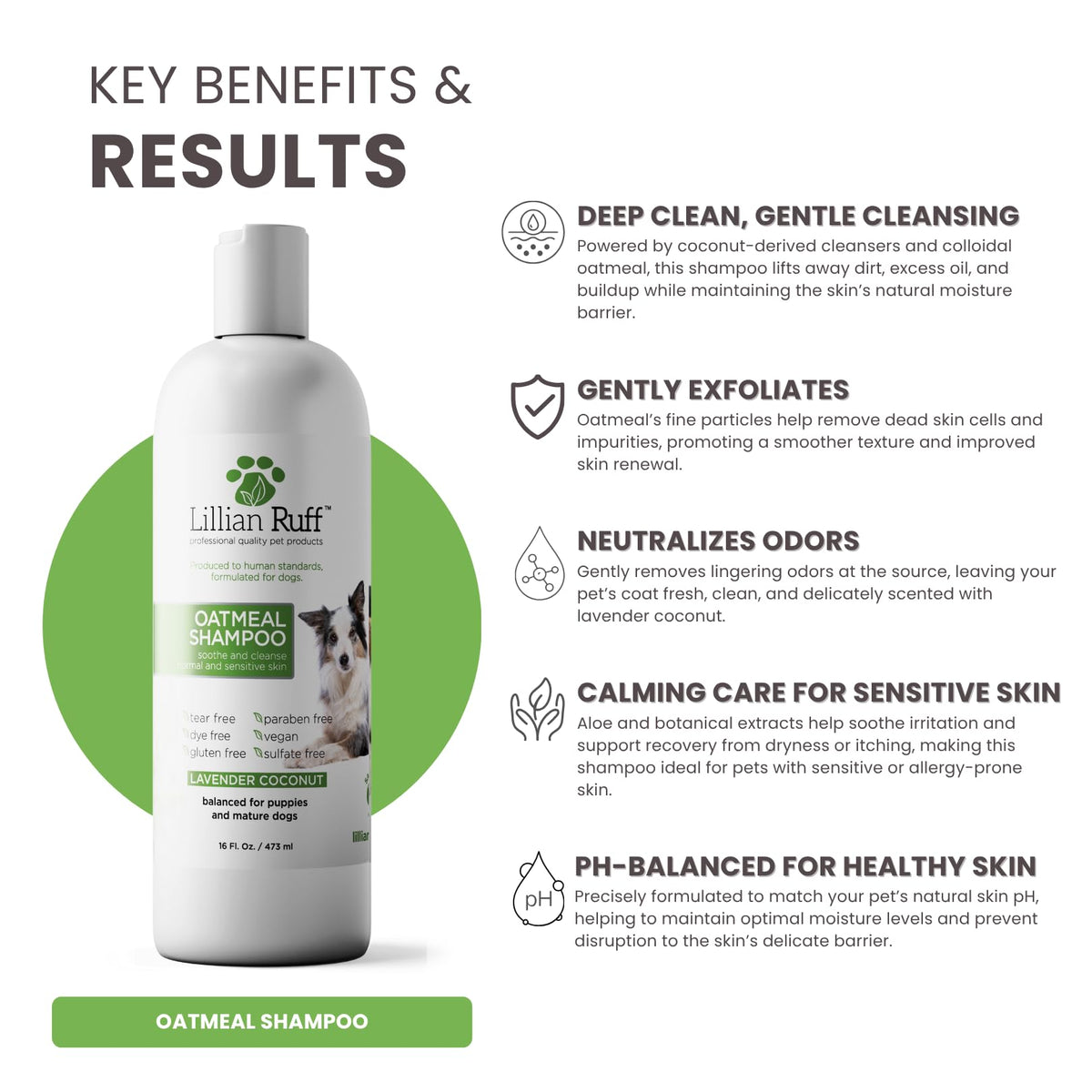 Oatmeal Dog Shampoo 16oz G77385