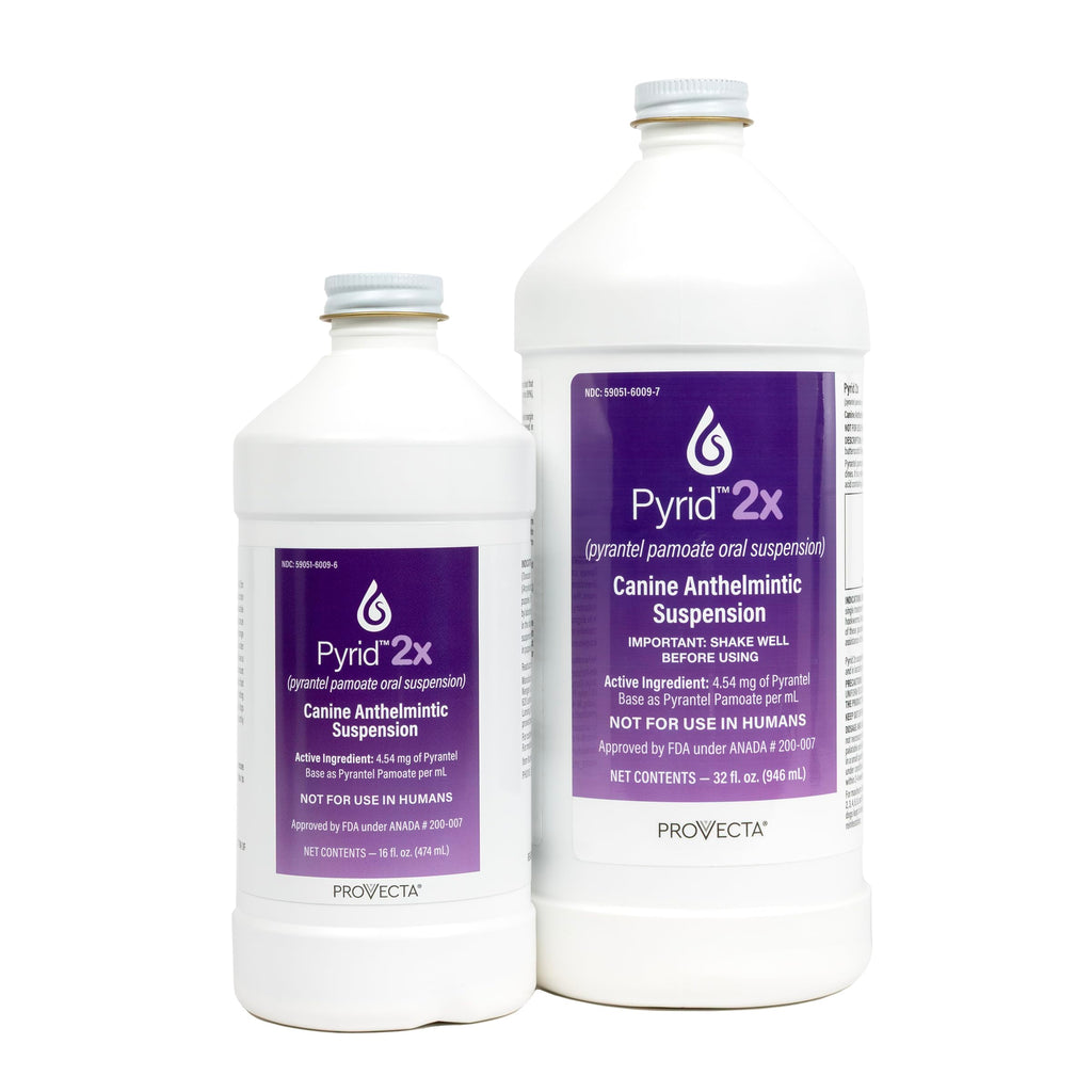 Pyrantel Pamoate Dog Dewormer 16 oz C83810