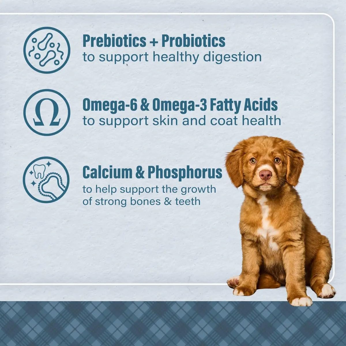 Chicken & Brown Rice Puppy Food 6 Pounds Z515596