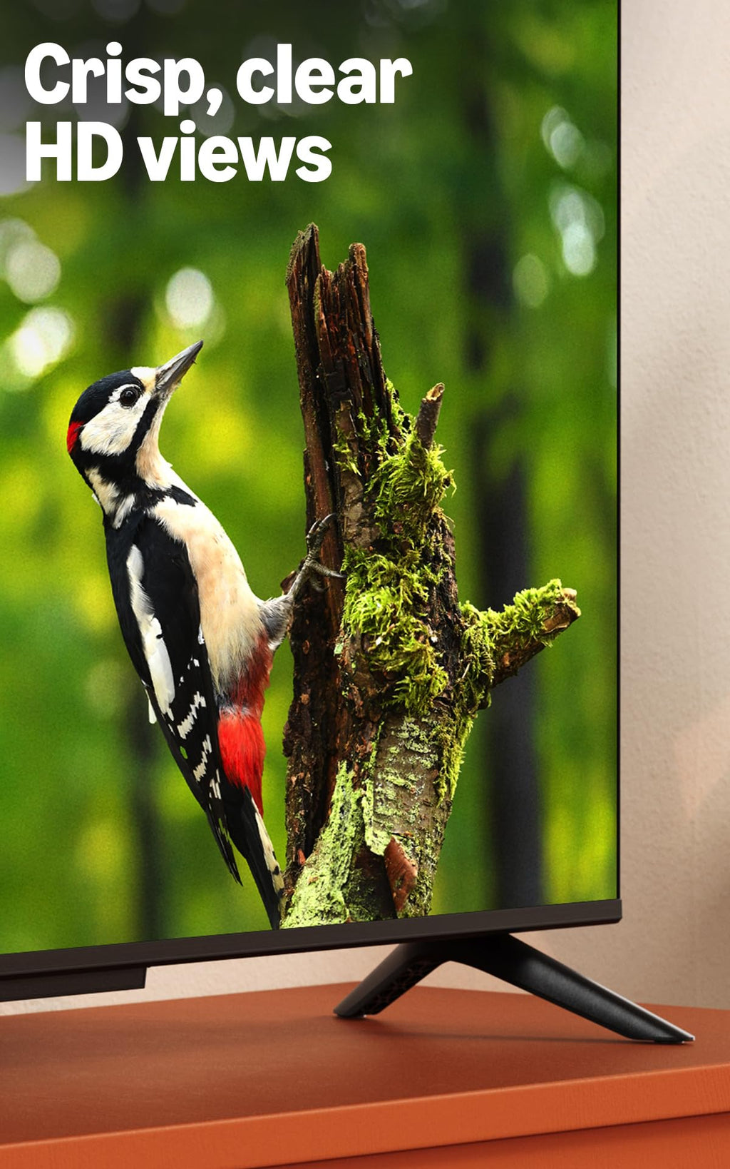 32" HD Smart TV with Alexa Remote C53333