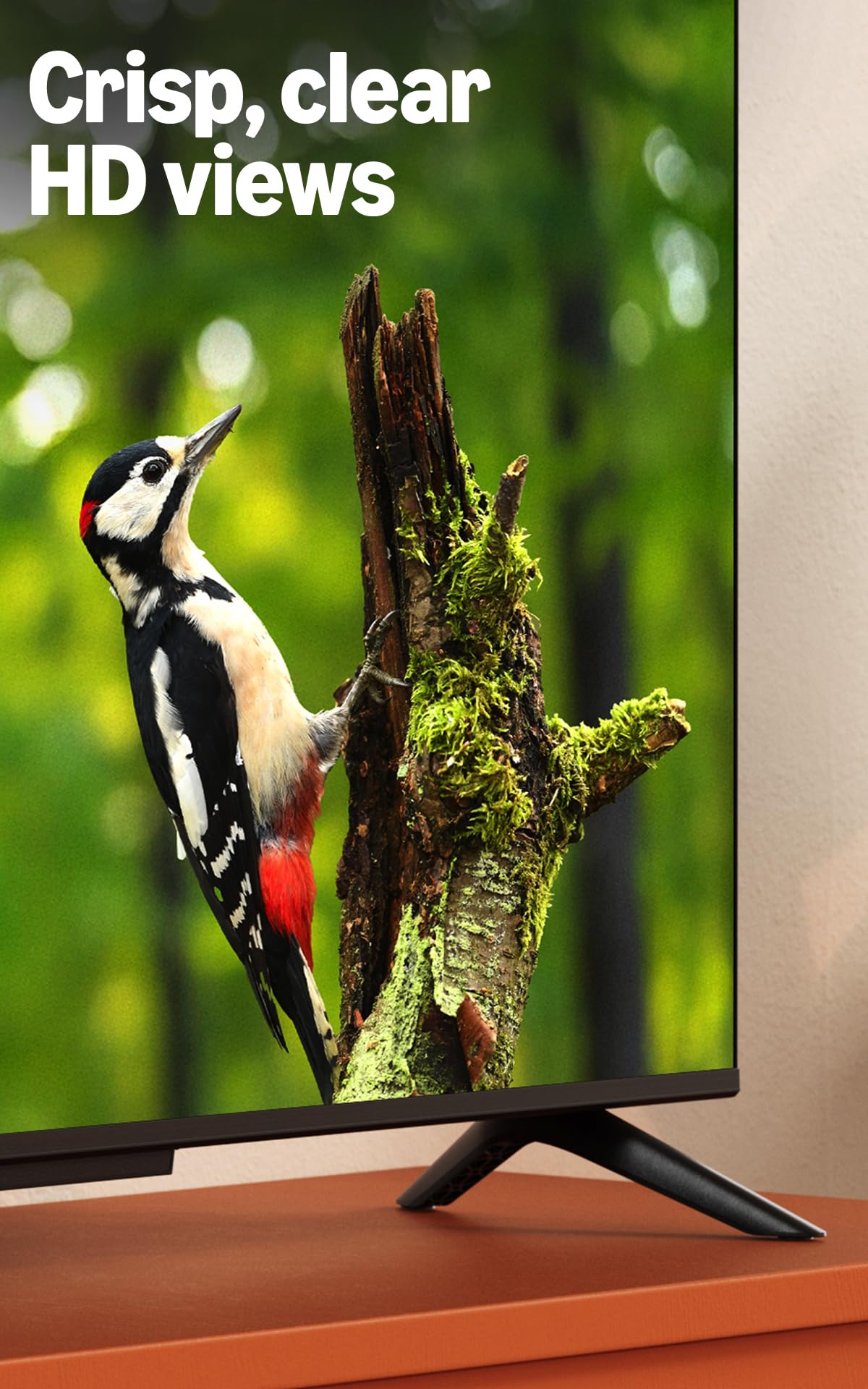 32" HD Smart TV with Alexa Remote C53333