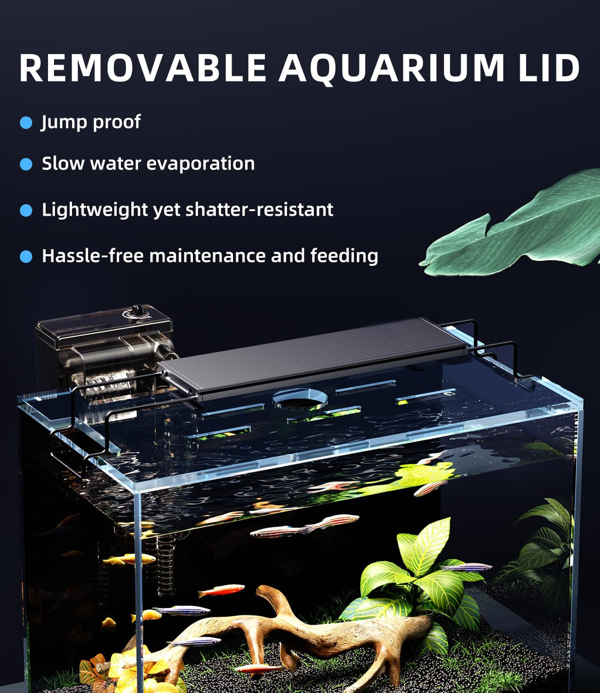 5 Gallon Rimless Glass Aquarium Starter Kit with Filter Light Lid M2963