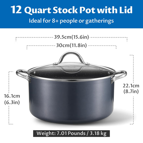 12 Quart Nonstick Stock Pot with Lid A19820