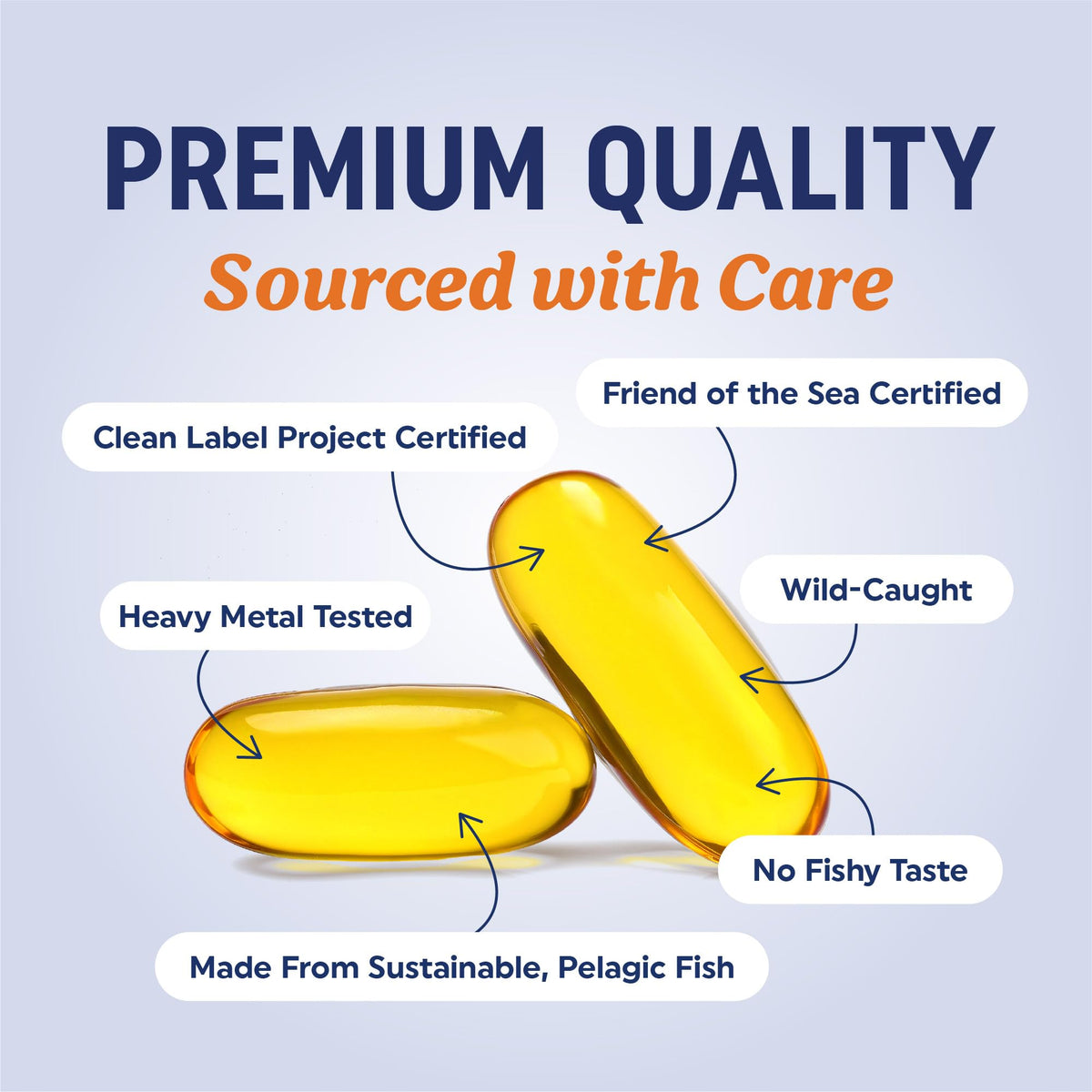 Omega 3 Fish Oil 1200 mg EPA & DHA Q93266