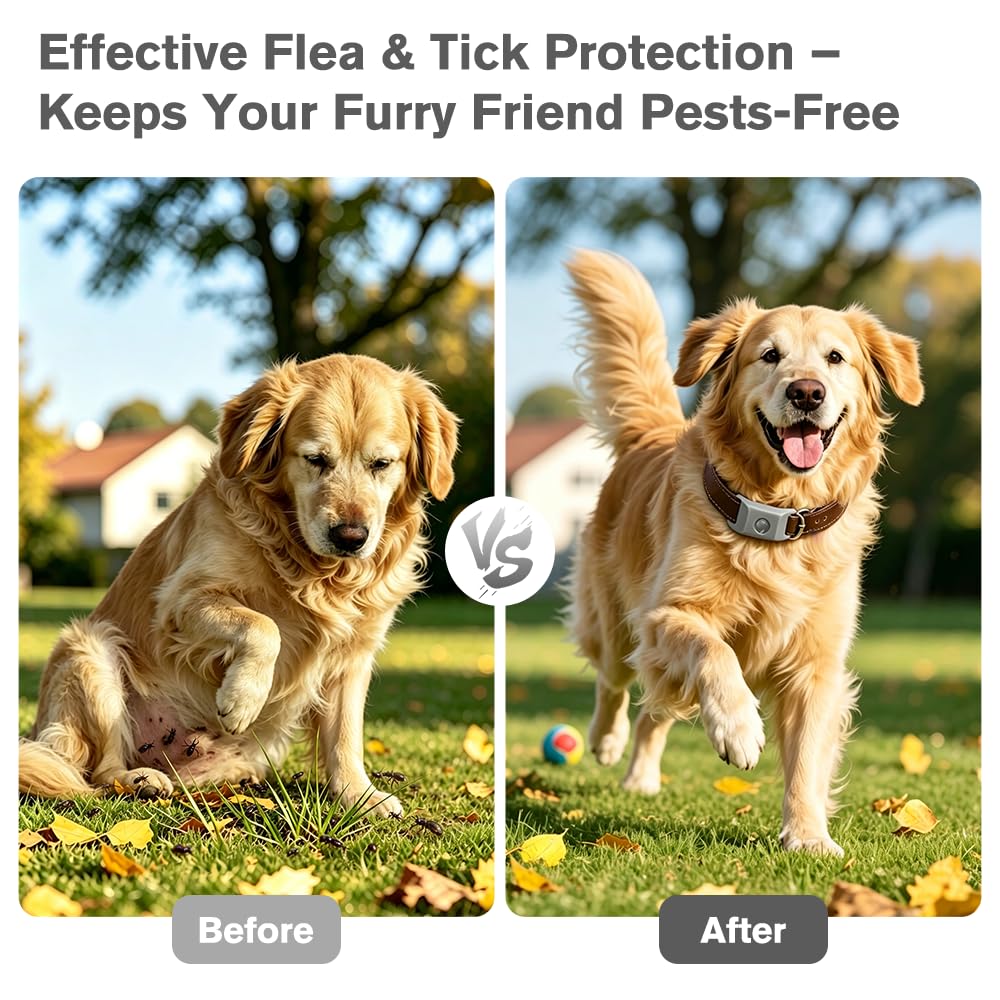 Flea and Tick Pendant for Dogs with 2 Silicone Buckles 4 Refills L55045