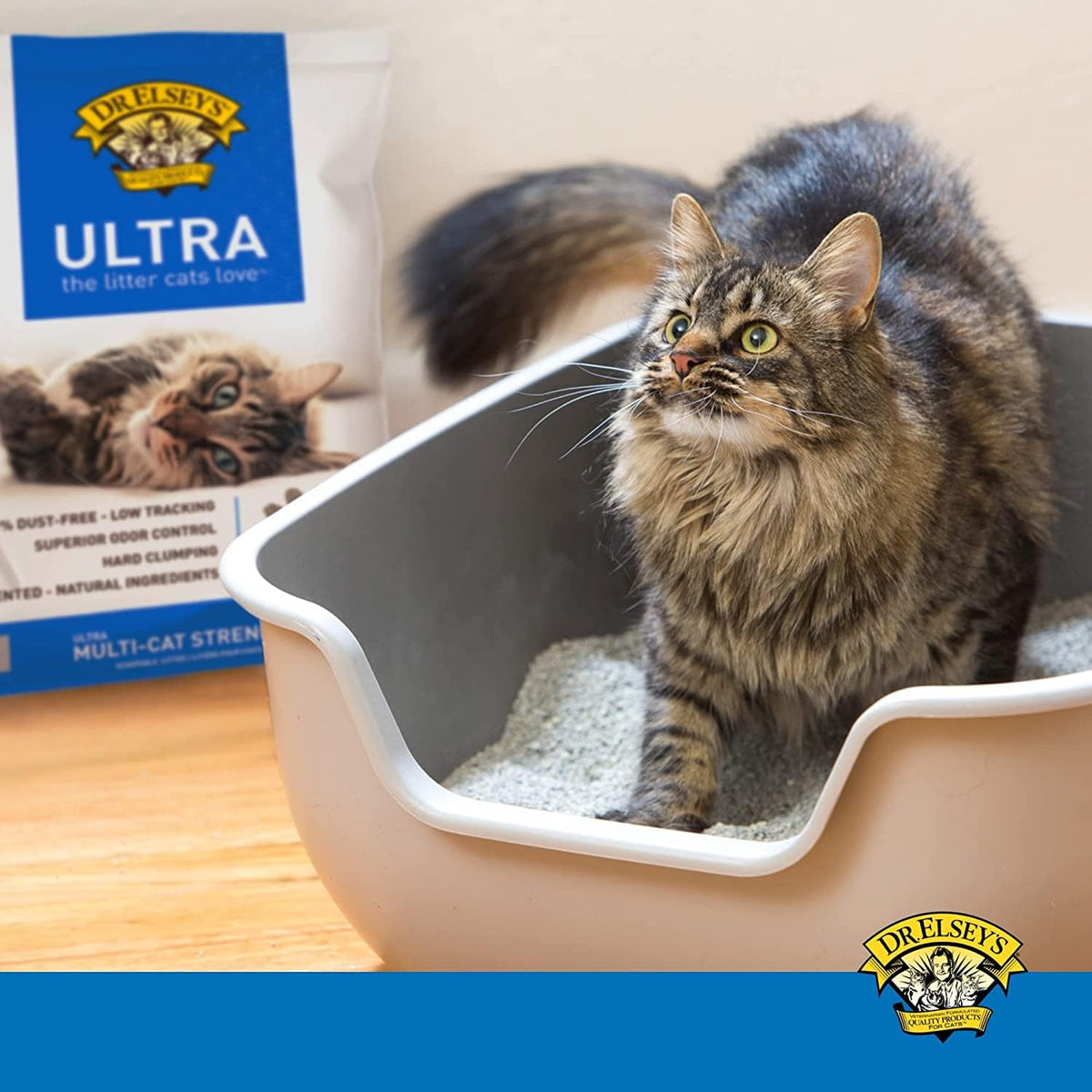 Clumping Clay Cat Litter 40 lb. Bag L450215