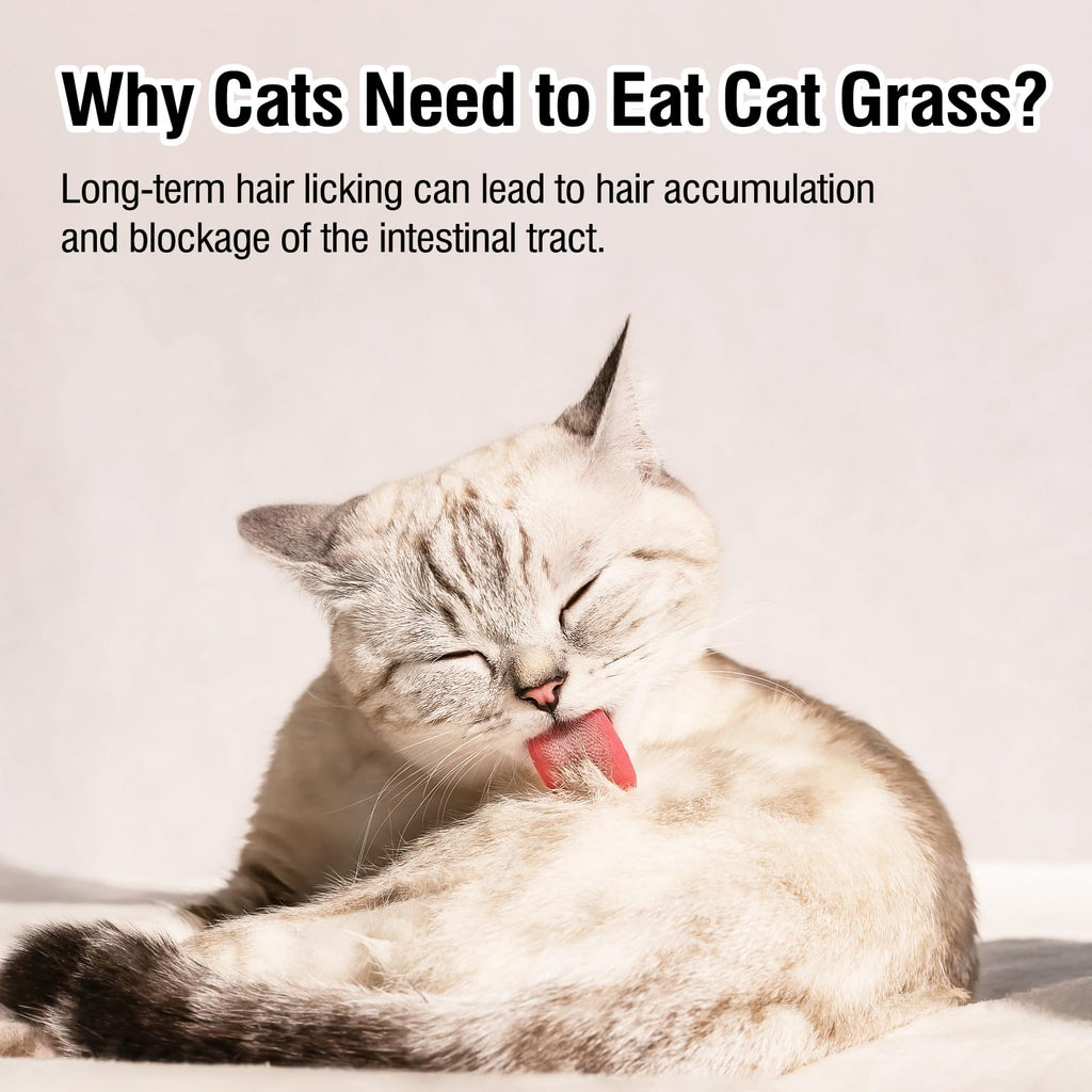 Freeze Drying Cat Grass Treats with Chicken & Egg Yolk 2.3 oz A406839