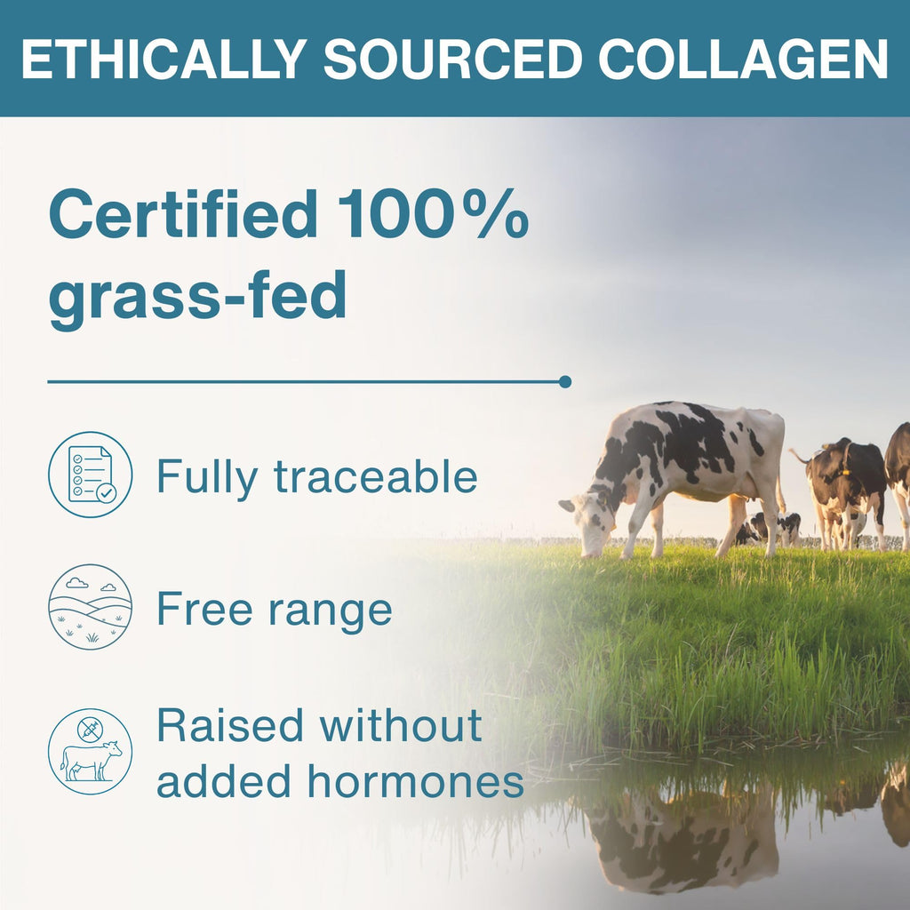 Hydrolyzed Bovine Collagen Peptides Z7425