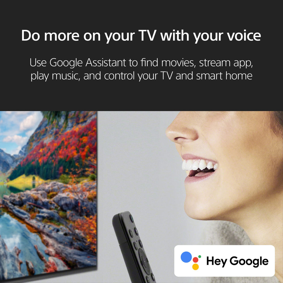 43 Inch LED 4K HDR Smart Google TV S114430