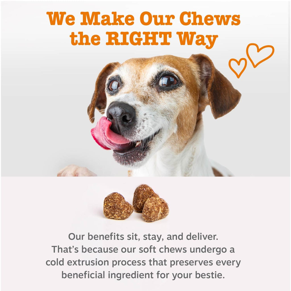 Probiotics for Dogs Chicken 90ct V601