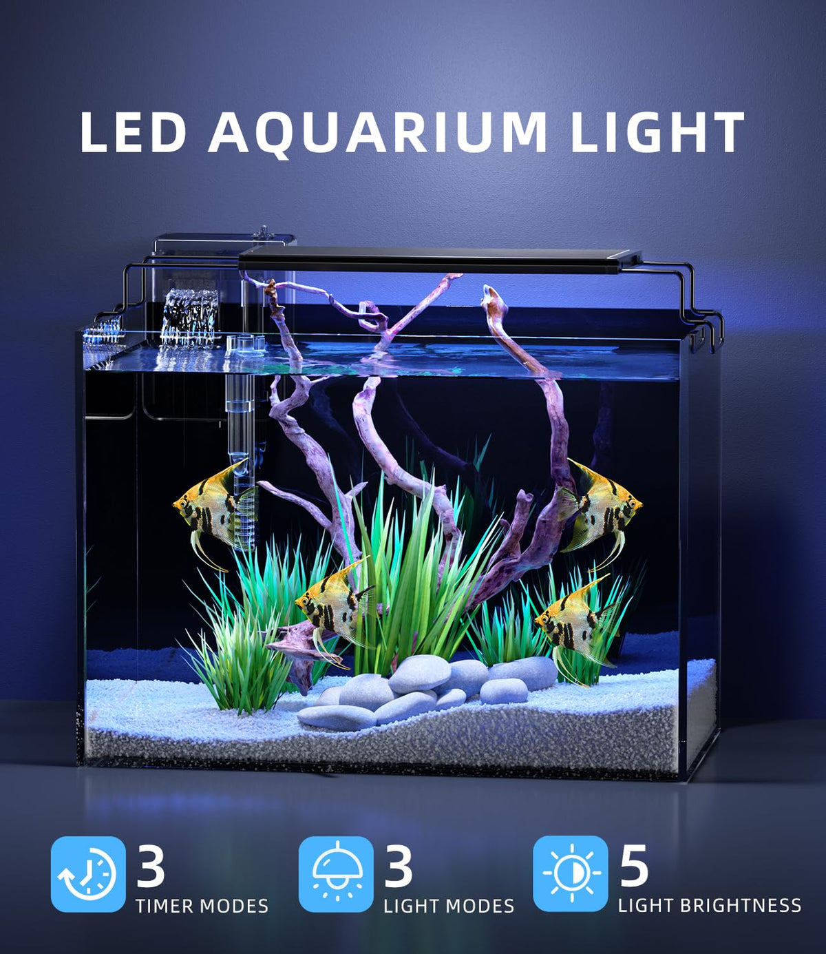 5 Gallon Rimless Glass Aquarium Starter Kit with Filter Light Lid M2963