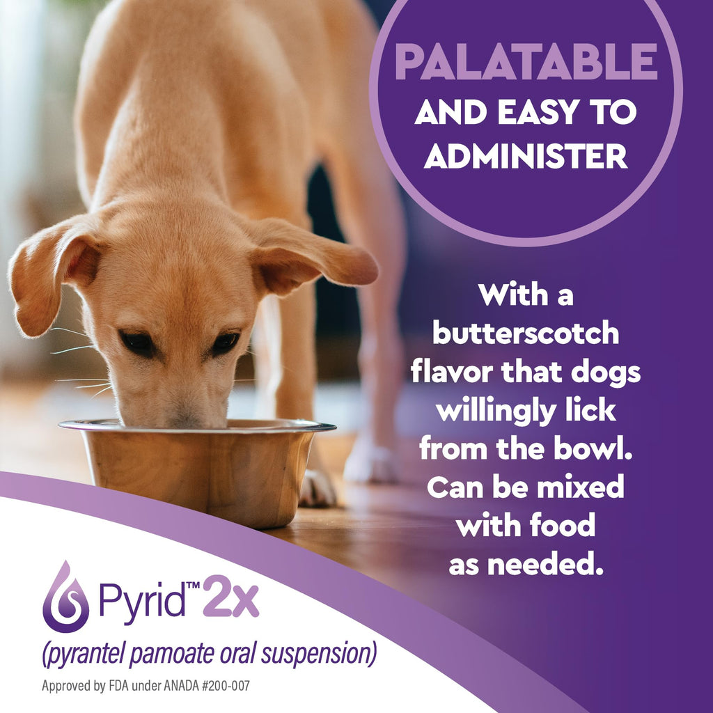 Pyrantel Pamoate Dog Dewormer 16 oz C83810