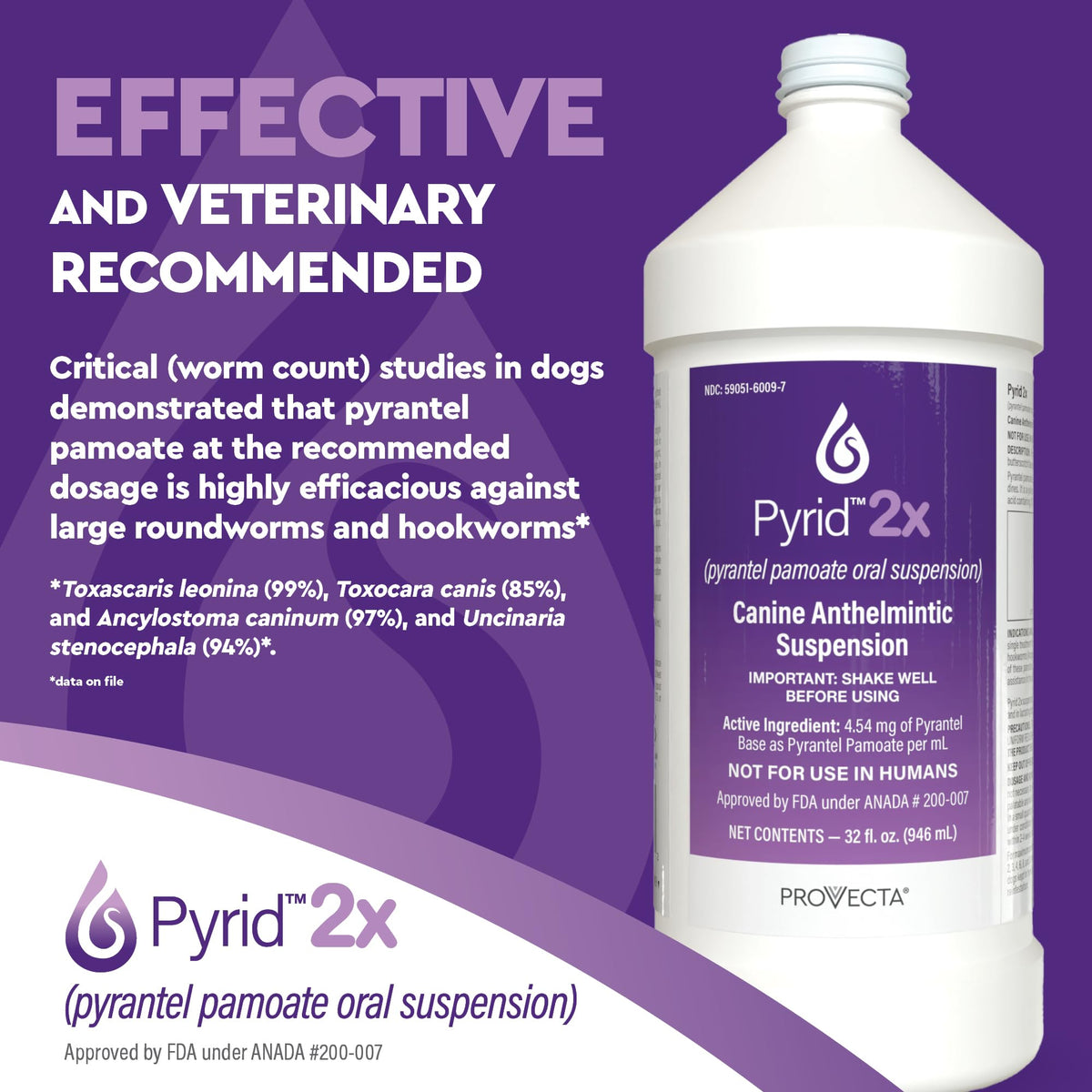 Pyrantel Pamoate Dog Dewormer 16 oz C83810