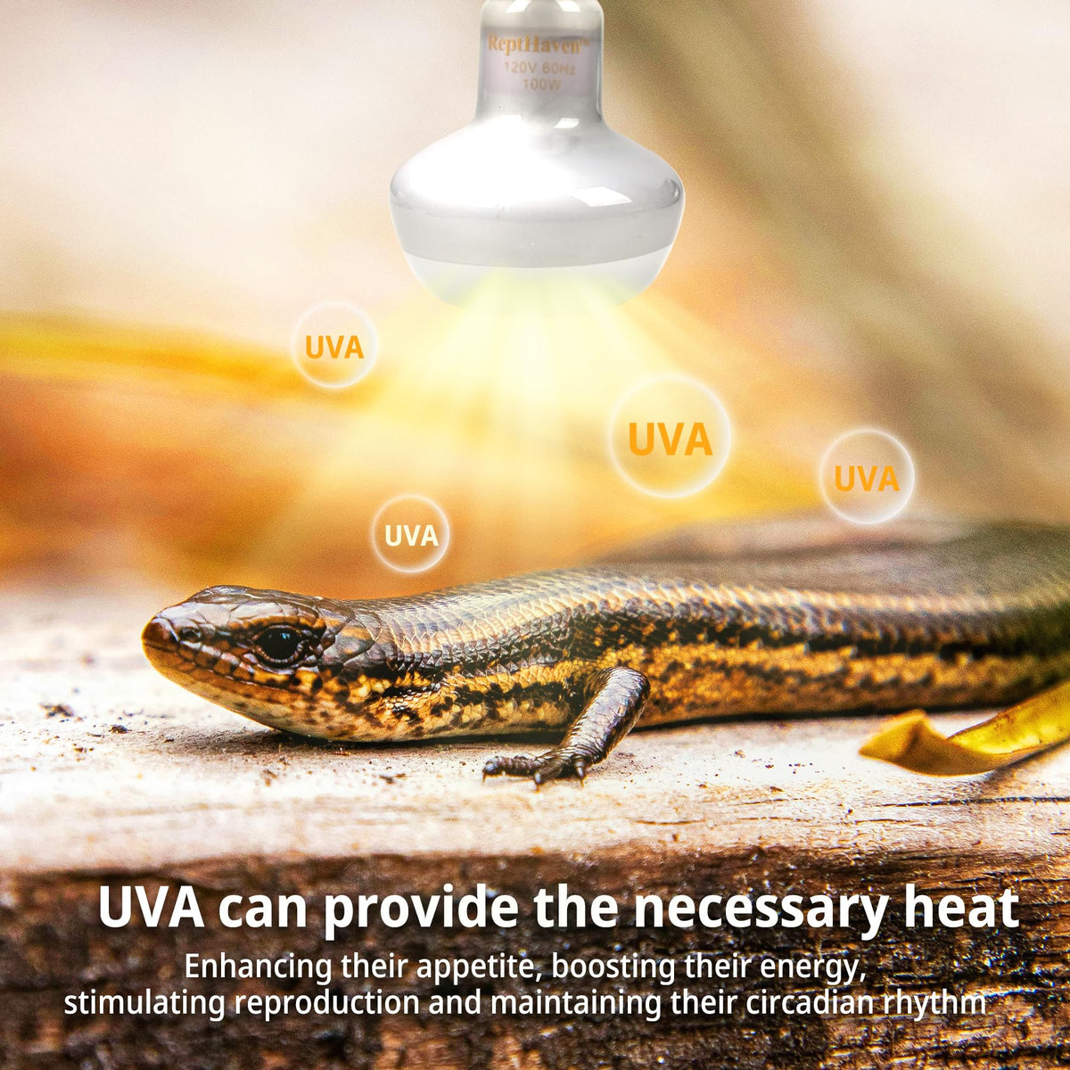 2-in-1 Deep Dome Reptile Light Fixture Kit with 100W UVA Basking Bulb & 100W Infrared Heat Lamp W75071