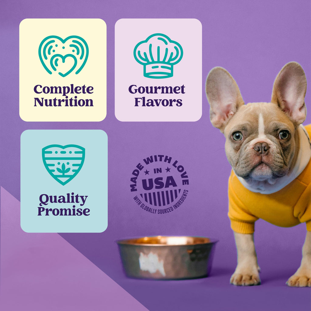 Turkey Stew Wet Dog Food 13.2 oz Can Pack of 12 L381