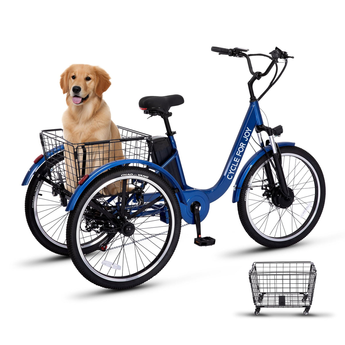 3 Wheel Electric Bike K438