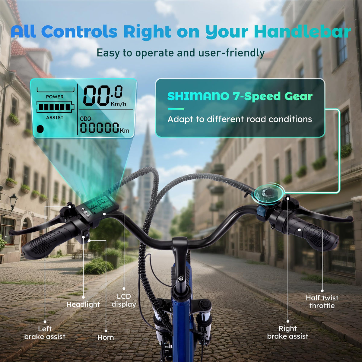 3 Wheel Electric Bike K438