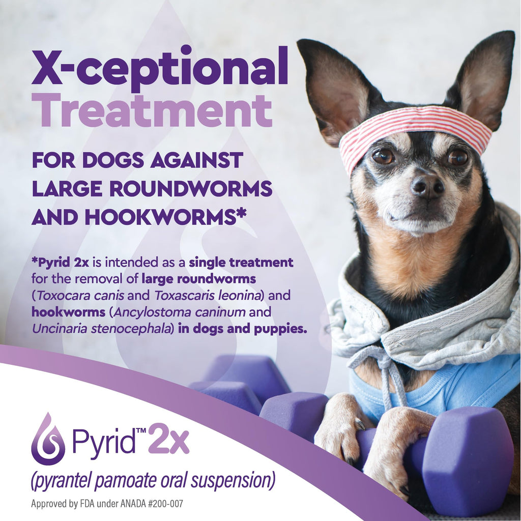 Pyrantel Pamoate Dog Dewormer 16 oz C83810