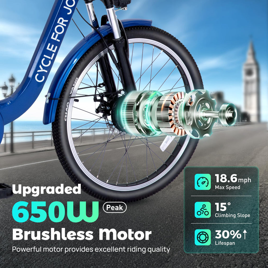3 Wheel Electric Bike K438