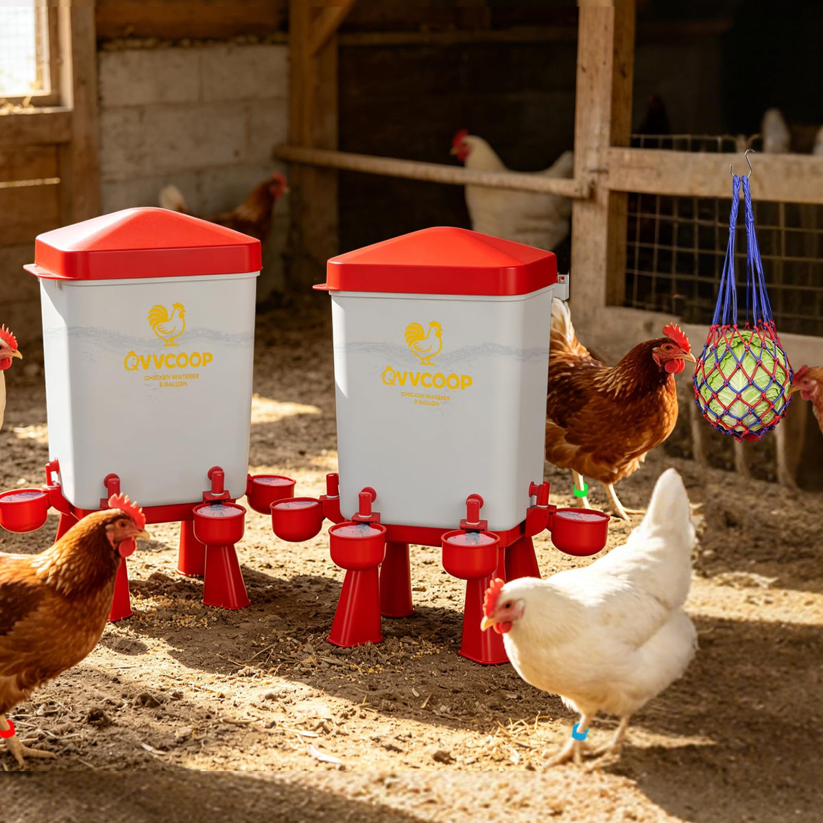 3 Gallon Automatic Chicken Waterer with 10 Cups Z3164