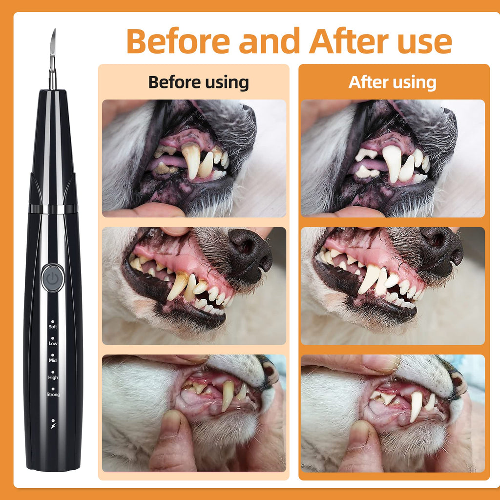 Ultrasonic Pet Tooth Cleaner Kit with LED Light V4674