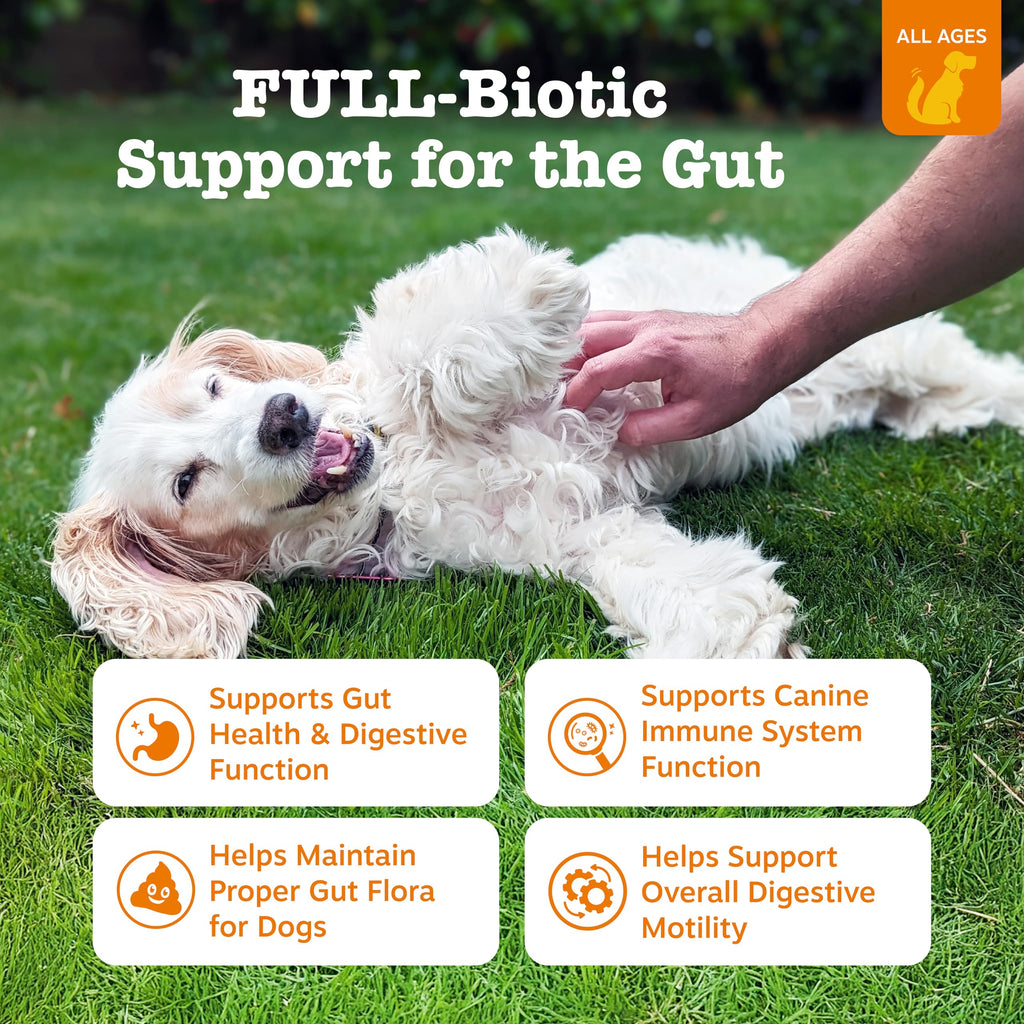Probiotics for Dogs Chicken 90ct V601