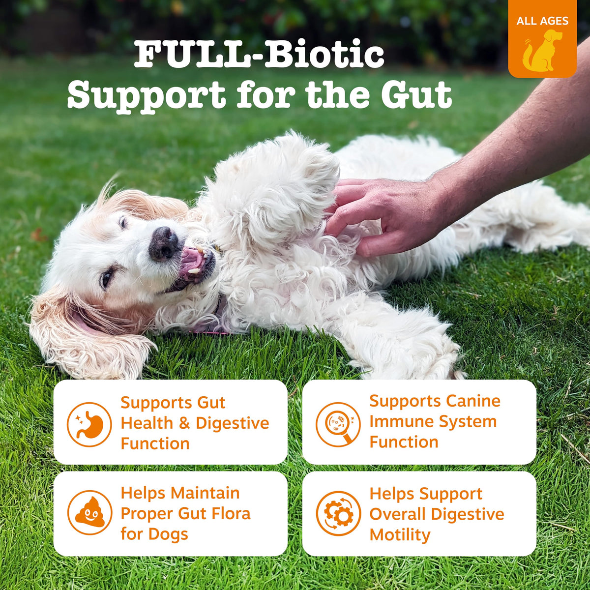 Probiotics for Dogs Chicken 90ct V601