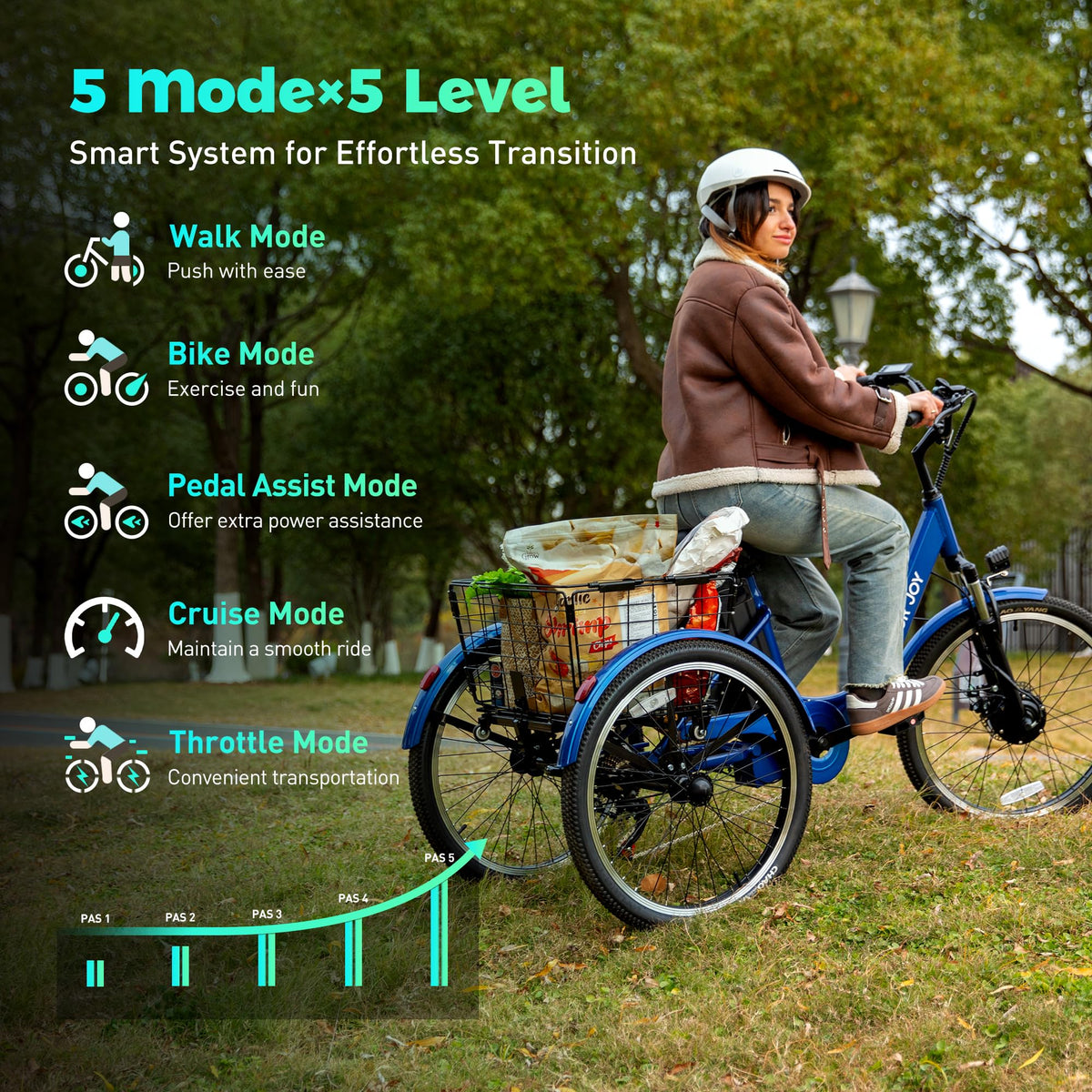 3 Wheel Electric Bike K438